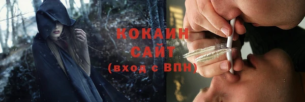 PSILOCYBIN Баксан