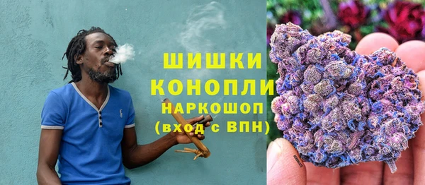 ГАЛЛЮЦИНОГЕННЫЕ ГРИБЫ Балахна