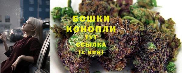 ГАЛЛЮЦИНОГЕННЫЕ ГРИБЫ Балахна