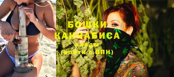ГАЛЛЮЦИНОГЕННЫЕ ГРИБЫ Балахна