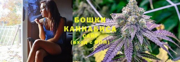 ГАЛЛЮЦИНОГЕННЫЕ ГРИБЫ Балахна