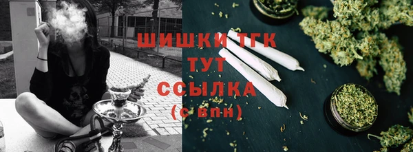 PSILOCYBIN Баксан