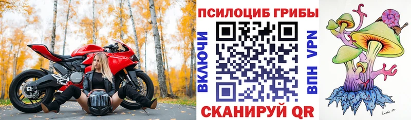 Галлюциногенные грибы Psilocybe  наркота  Городище 