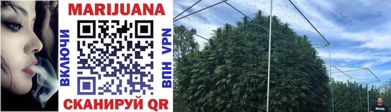 купить наркотик  blacksprut как зайти  Бошки марихуана Amnesia  сайты даркнета Telegram  Городище 